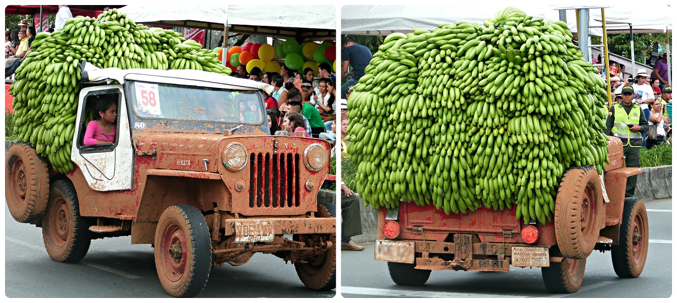 Jeep très chargée avec des bananes au défilé Yipao à Armenia