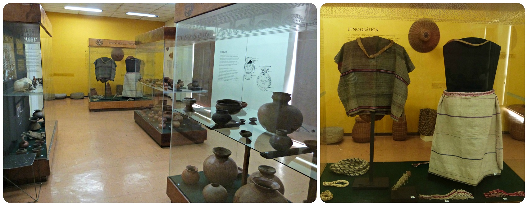 Salle du Musée d'histoire naturelle de Popayán