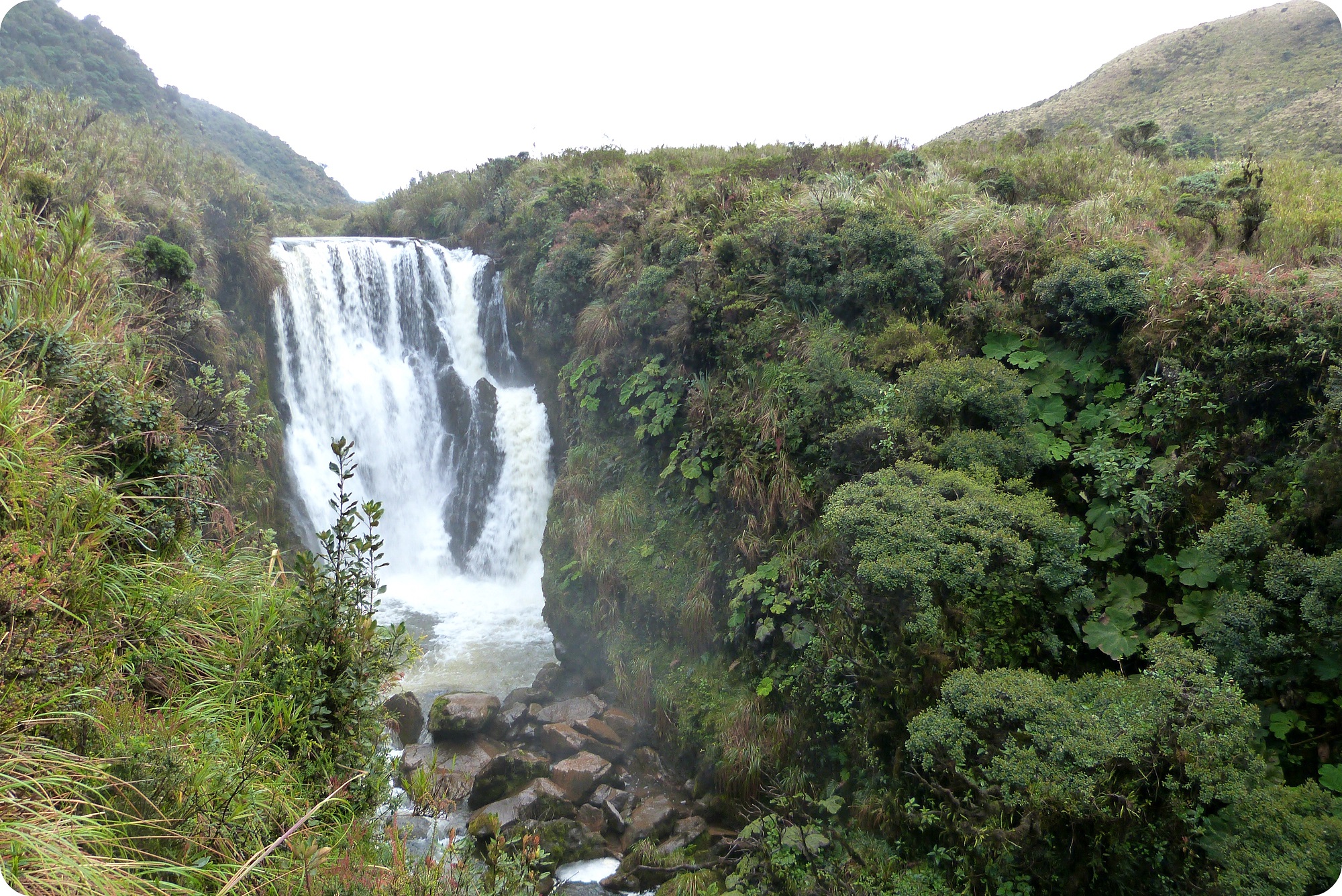 Cascada rodeada de árboles en el Parque natural Puracé