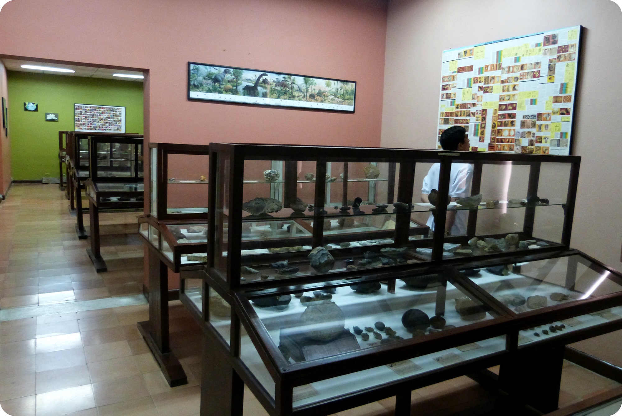 Salle du Musée d'histoire naturelle de Popayán