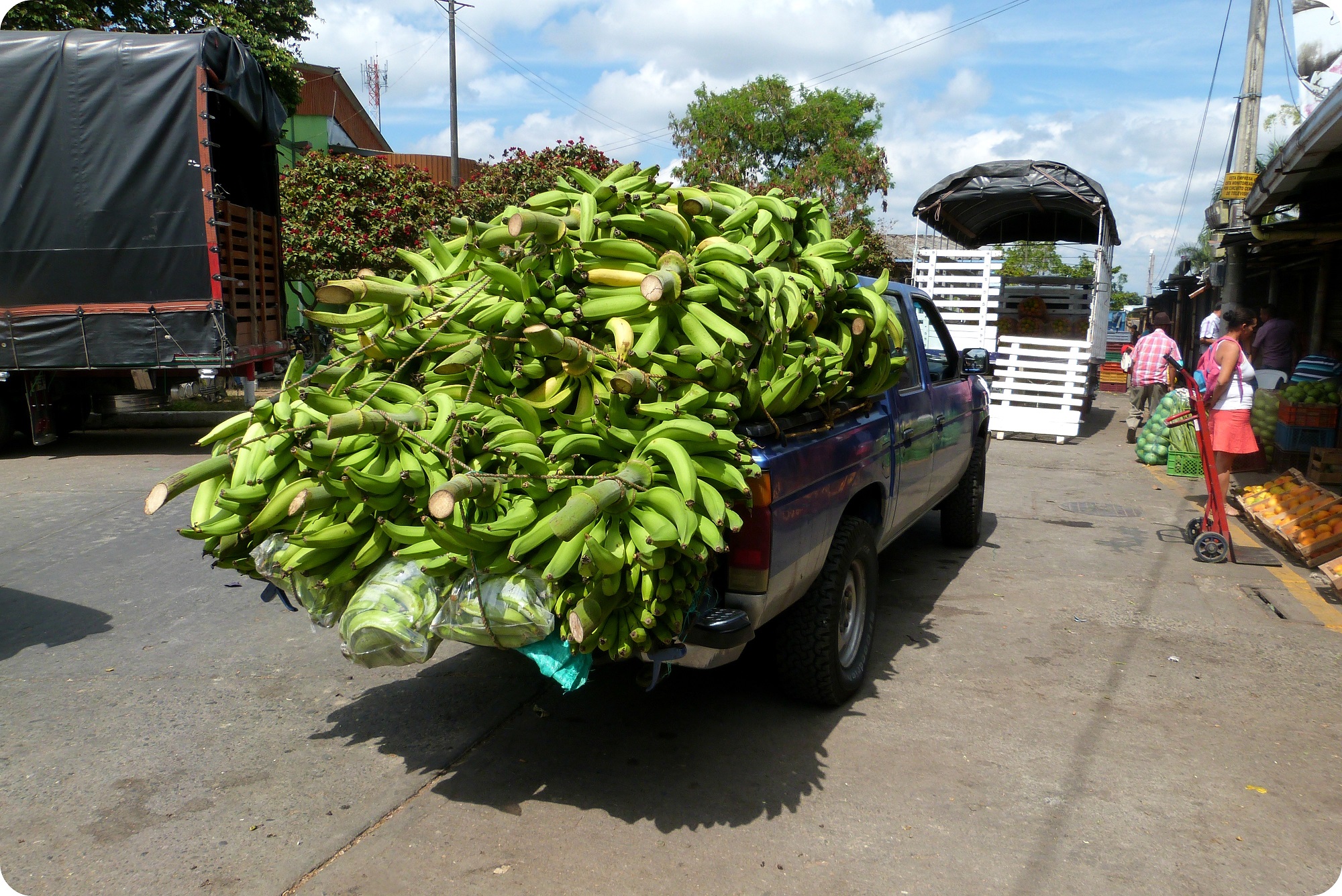 Pieds de bananes plantain dans une jeep au marché d'Armenia
