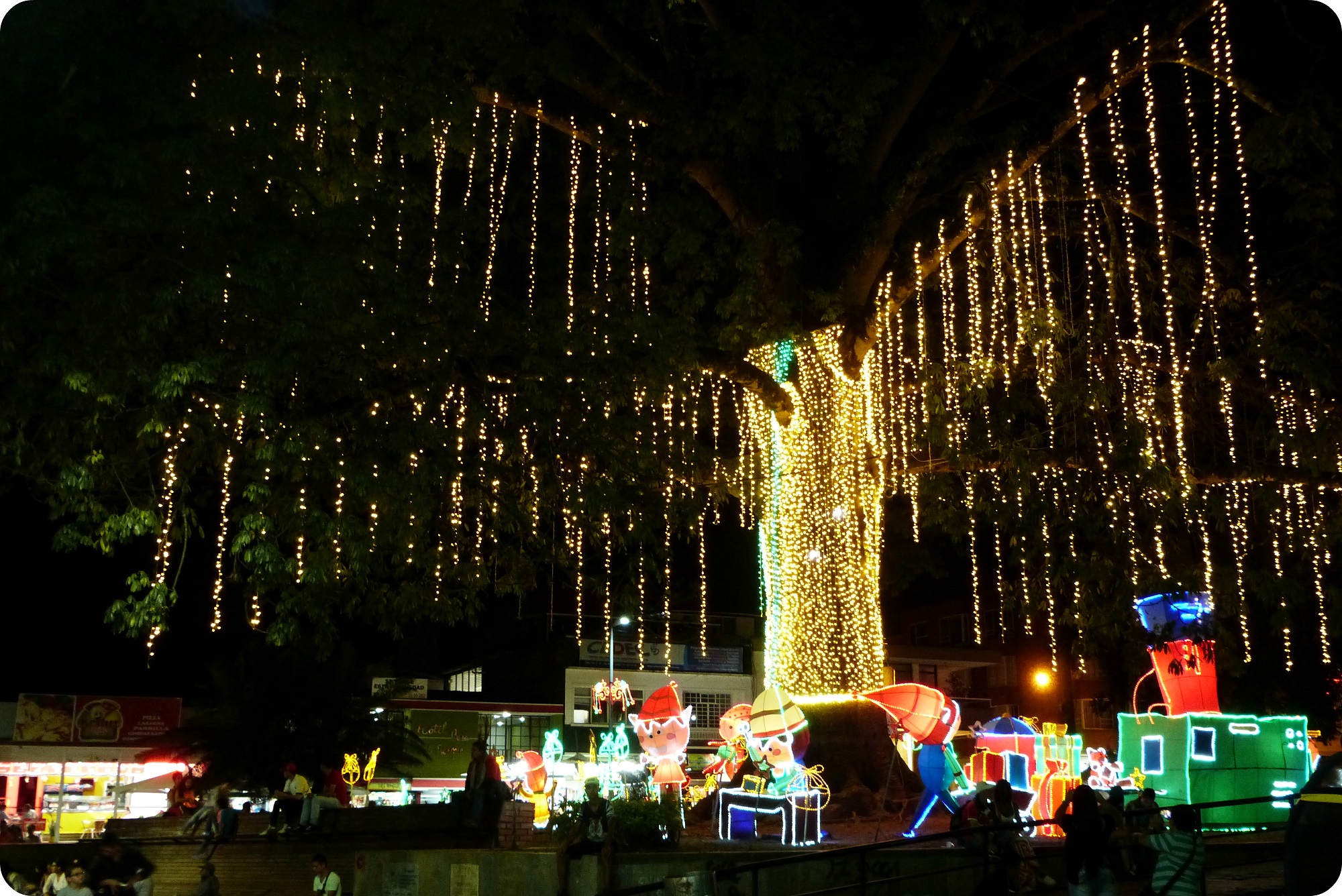 arbre illuminé du Parque Sucre d'Armenia