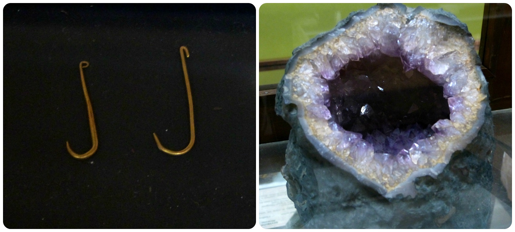 Pièces exposées au Musée d'histoire naturelle de Popayán