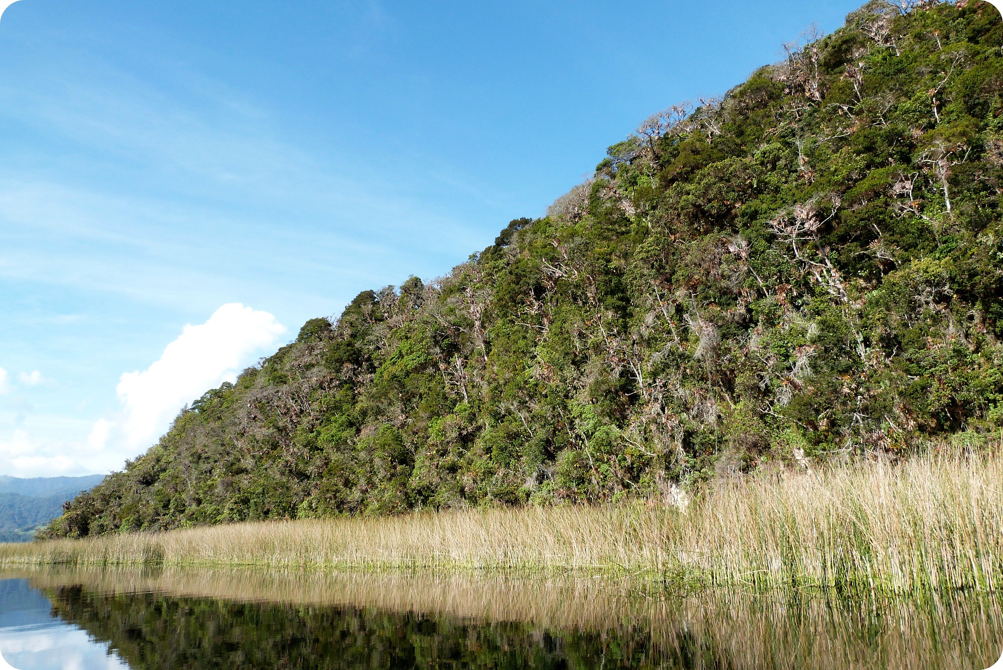 La isla de la Corota en la laguna de la Cocha de Pasto