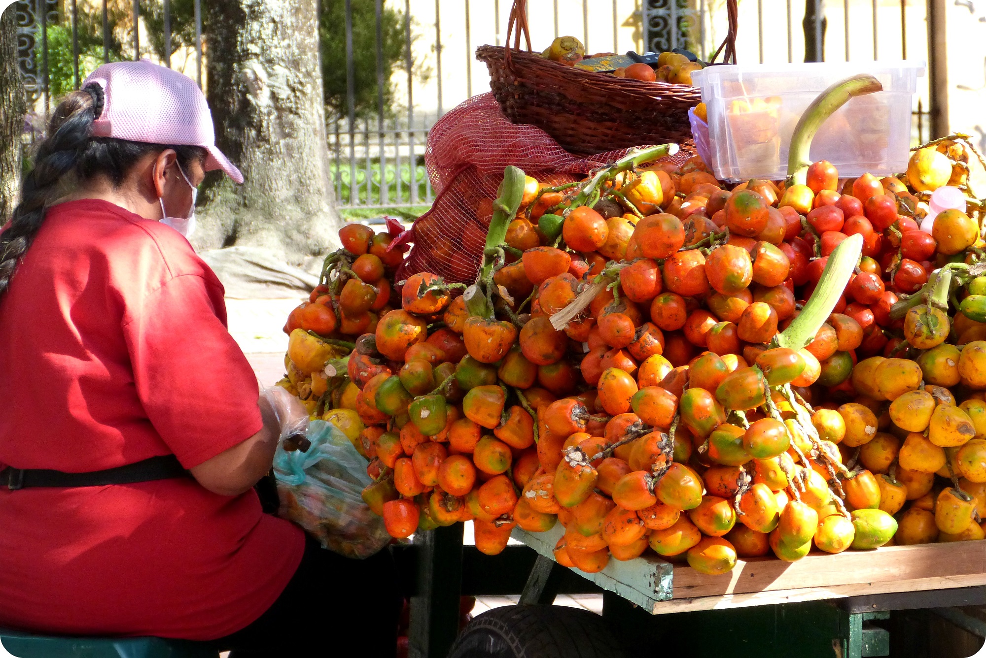 charriot de chontaduros vendus dans une rue de Bogotá