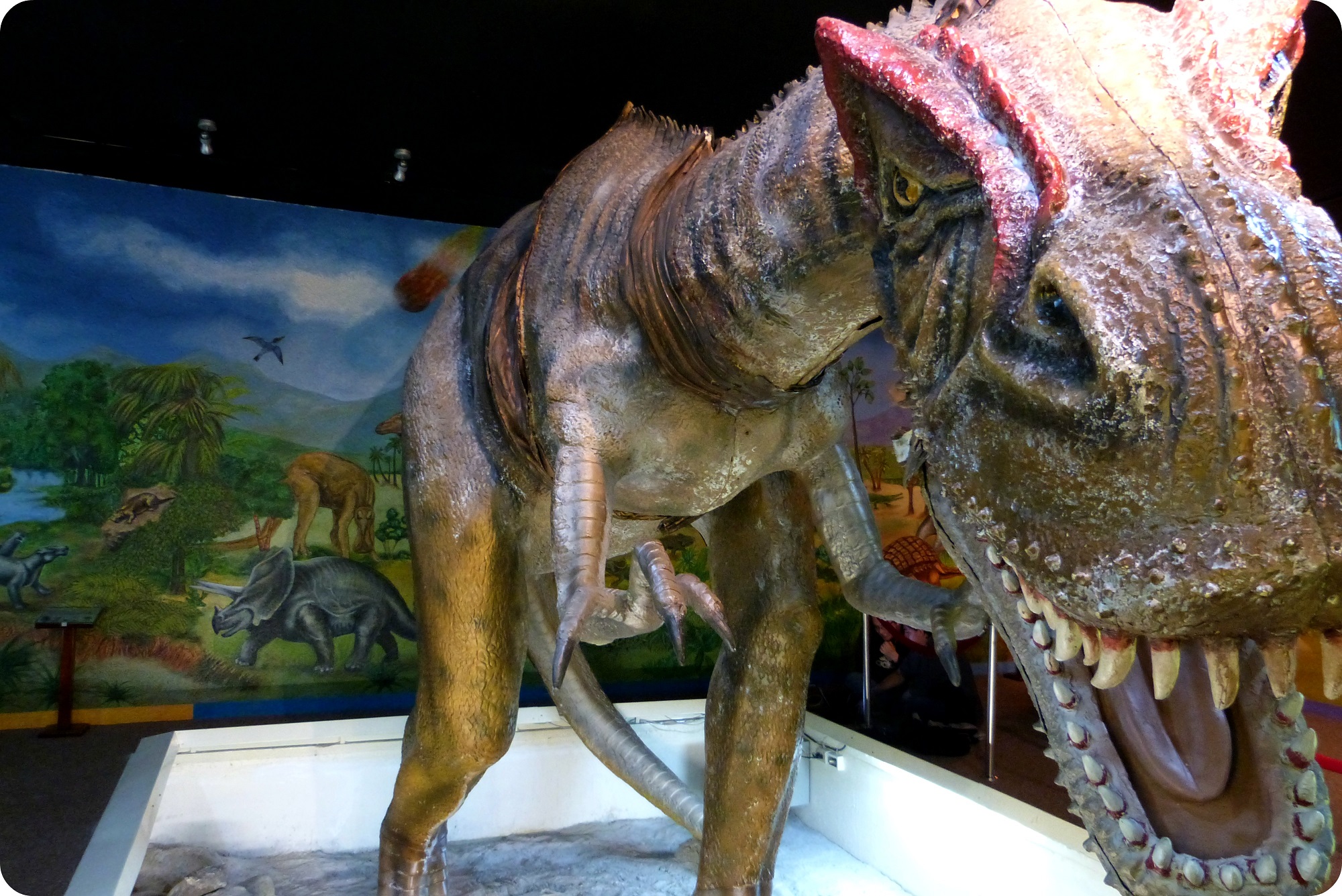 Dinosaurio en el Museo de Historia natural de Quito : Allosaurus fragilis